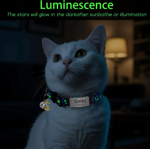 Personalized Glow in the Dark Cat Collar with Engraved ID, Bell & Moon Charm