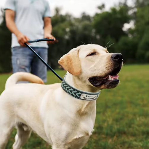 Personalized Engraved Leather Dog Collar with ID Nameplate, Gift for Dog Mom/Dad