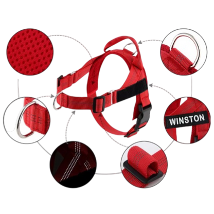 Personalized Reflective No Pull Dog Harness - Comfortable & Safe