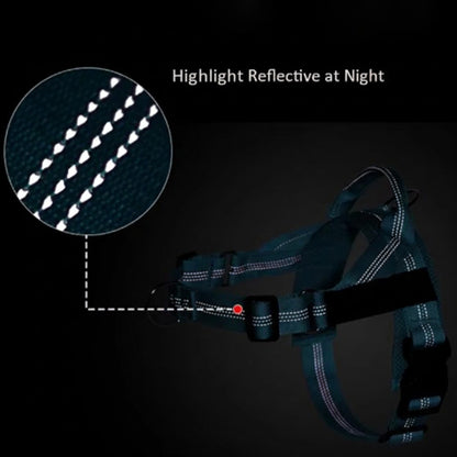 Personalized Reflective No Pull Dog Harness - Comfortable & Safe