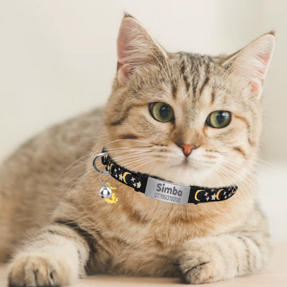 Personalized Glow in the Dark Cat Collar with Engraved ID, Bell & Moon Charm