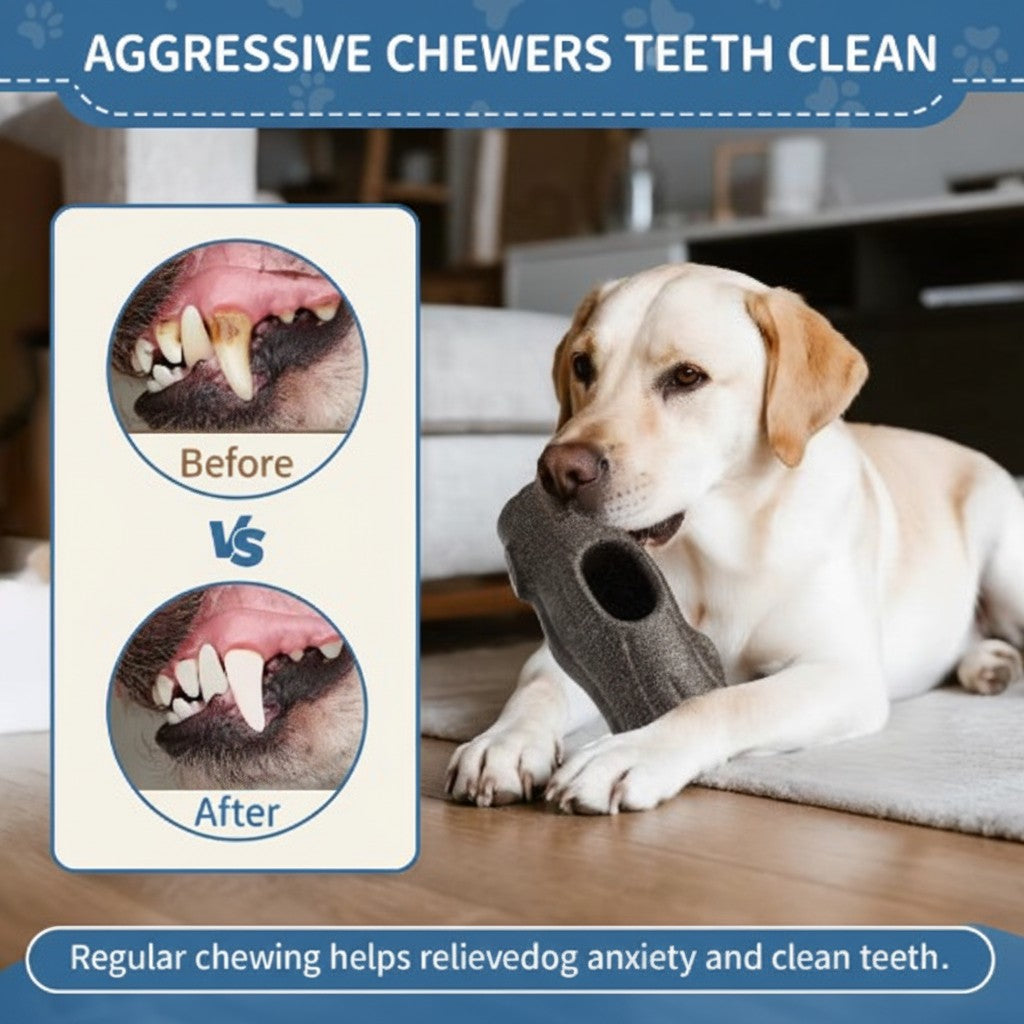 Indestructible Dog Chew Toy with Frozen Treat Holder - For Aggressive Chewers