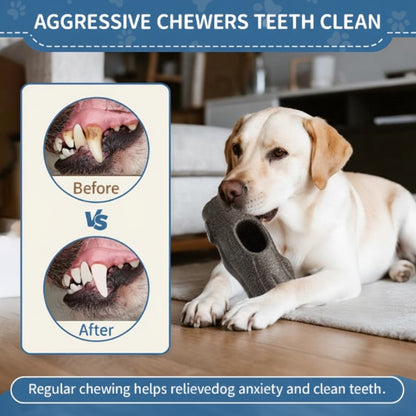 Indestructible Dog Chew Toy with Frozen Treat Holder - For Aggressive Chewers