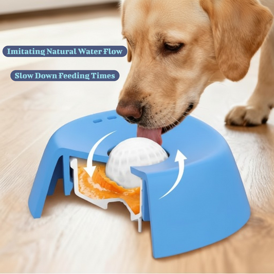 Anti-Choking Slow Feeder Dog Bowl with Lick Mat - Bone Broth Bowl