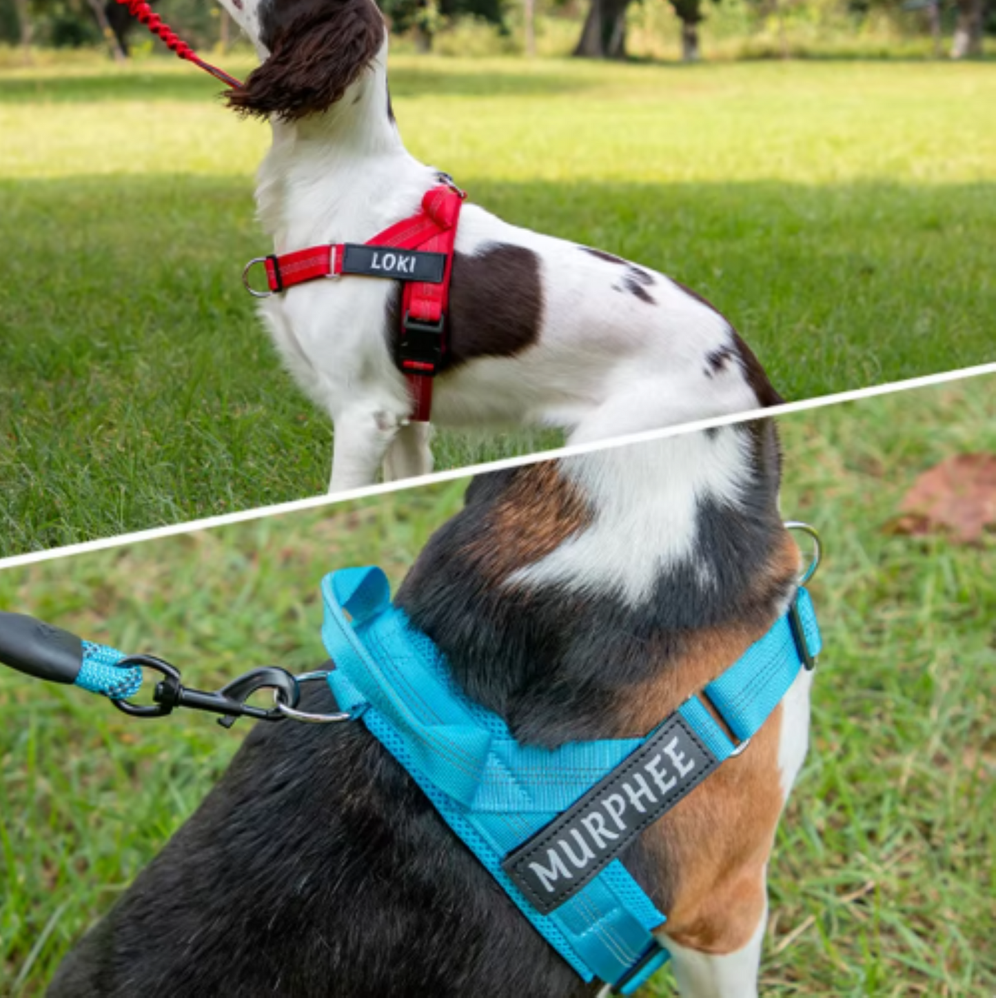 Personalized Reflective No Pull Dog Harness - Comfortable & Safe