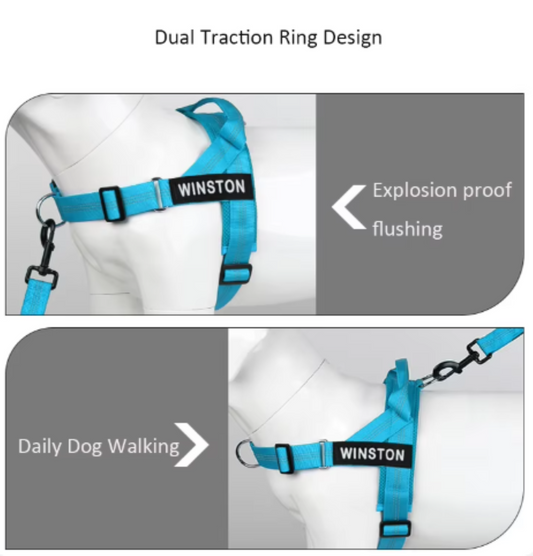 Personalized Reflective No Pull Dog Harness - Comfortable & Safe