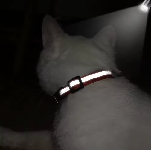 Personalized Reflective Cat/Puppy Collar with Engraved ID Nameplate & Bell