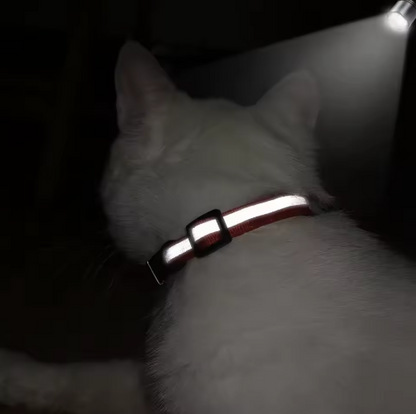 Personalized Reflective Cat/Puppy Collar with Engraved ID Nameplate & Bell