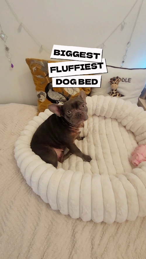 Fluffy Pet Bed with High Support - All Seasons Mattress for Small & Medium Pets